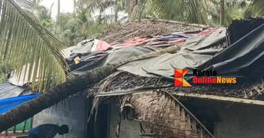 Coconut tree falls on house in strong winds in Thrissur