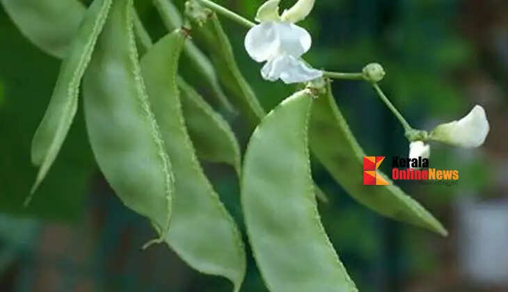 amarapayar