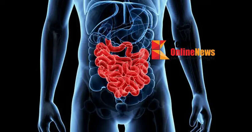 intestine