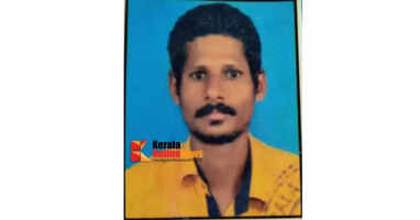 Aralam A young man who went to collect firewood was trampled to death by an elephant