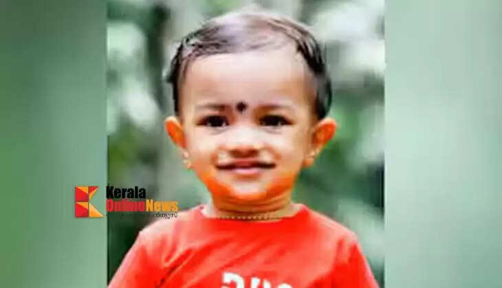 kashi