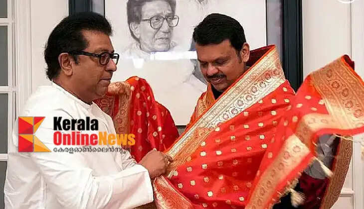 Raj Thackeray meets Maharashtra Chief Minister Devendra Fadnavis