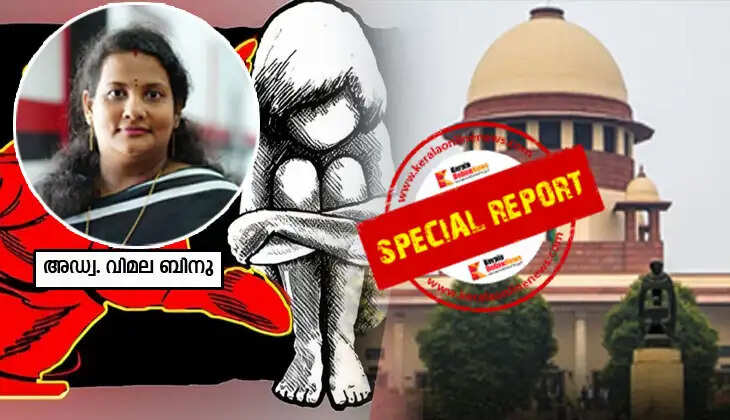 'Private investigation' not permissible in child sexual abuse complaint &ndash; Supreme Court clarifies spirit of POCSO Act