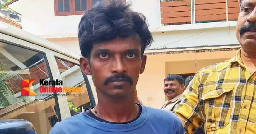 Massive cannabis bust in Katachira: Assam native arrested with 12 kg of cannabis