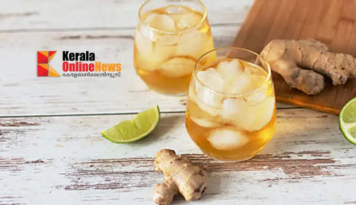 Special Ginger Iced Tea with Lemon, Mint, and Ginger
