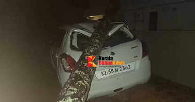 ചുഴലിക്കാറ്റില്&zwj; പാനൂര്&zwj; മേഖലയില്&zwj; കനത്തനാശനഷ്ടം: വൈദ്യുത തൂണുകള്&zwj; തകര്&zwj;ന്ന് വീണ് ഇരുട്ടിലായി