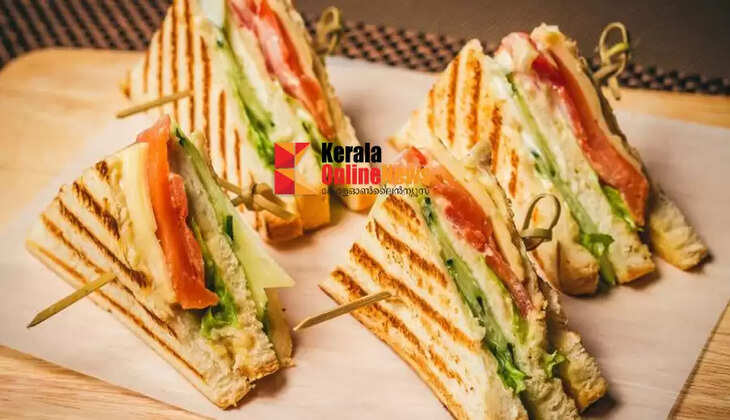 Vegetable sandwich 