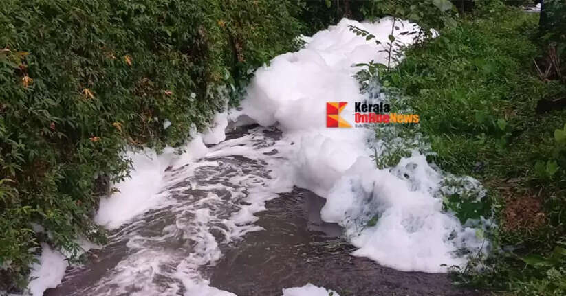 Water flowing through the stream in Ulikkal, Kannur, was turbid; locals were concerned, chemical solution was found in the water upon testing