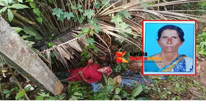 Elderly woman dies after being electrocuted by electric wire in Kannur