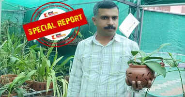 One Thousand Orchid Plants 256 Types of Wild Orchids Saboo Research in International Spotlight