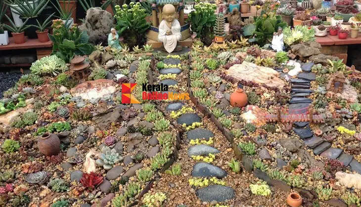 A plant, a small container&mdash;videos on creating mini-gardens gain attention.