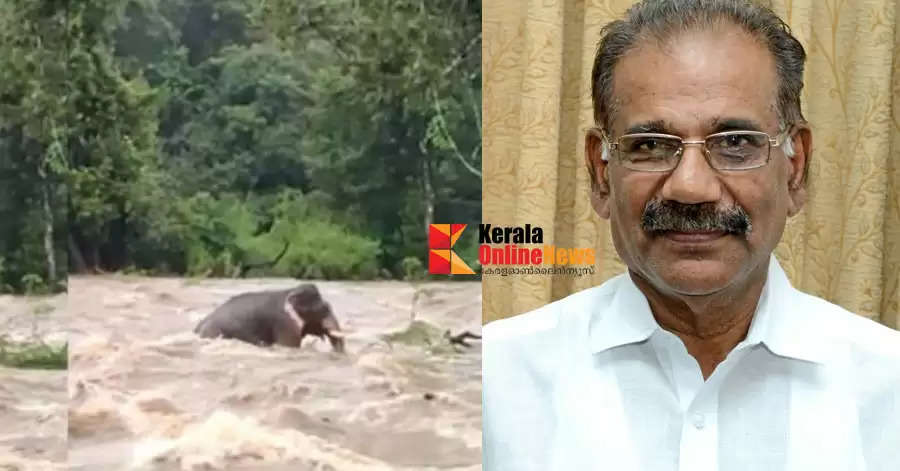 elephant  Forest Minister AK Saseendran