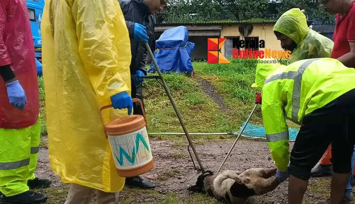 A new step towards human coexistence; Street dog vaccination project launched in Taliparamba, first in Kannur district
