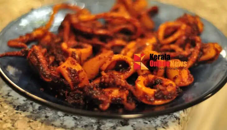 squid fry