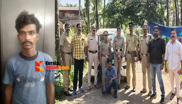 Massive cannabis bust in Kannur's Kadachira; Assam native arrested with 11 kg of cannabis