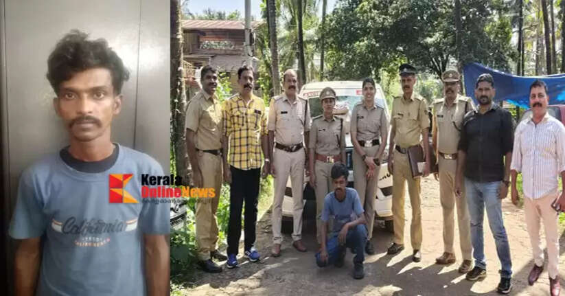 Massive cannabis bust in Kannur's Kadachira; Assam native arrested with 11 kg of cannabis