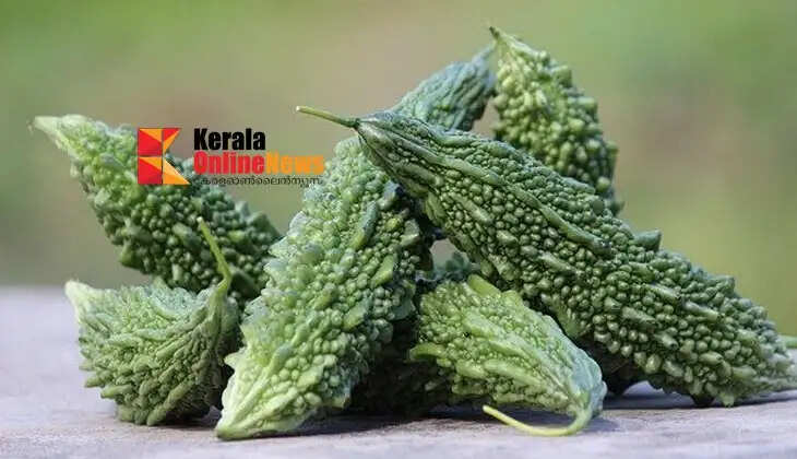  Bitter gourd