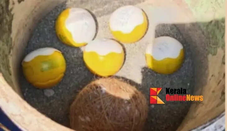 Police say fake ice cream bomb found in Poilur