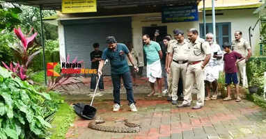 The big snake which was injured after getting stuck in a fence slithered into the animal rescue center office