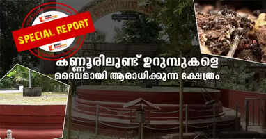 There is a temple in Kannur that worships ants as gods