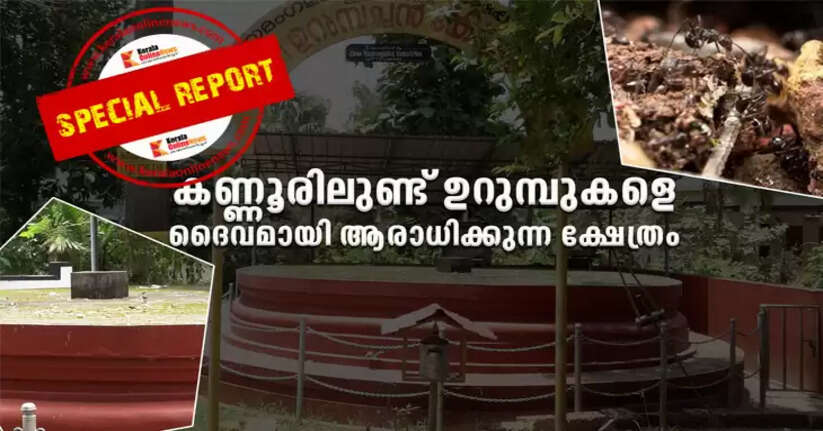 There is a temple in Kannur that worships ants as gods