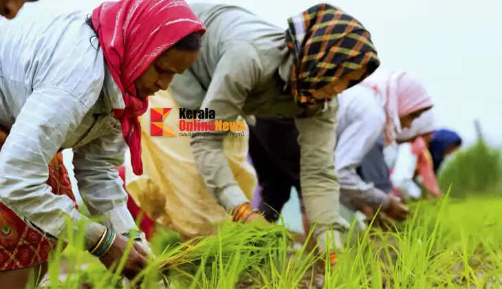 Women farmers can pave the way toward entrepreneurship; value-added products are gaining attention.