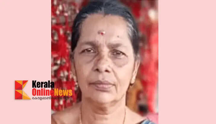 Housewife dies after receiving shock while picking mangoes