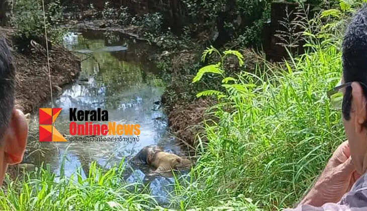 Unidentified body found in swamp in Pappinissery