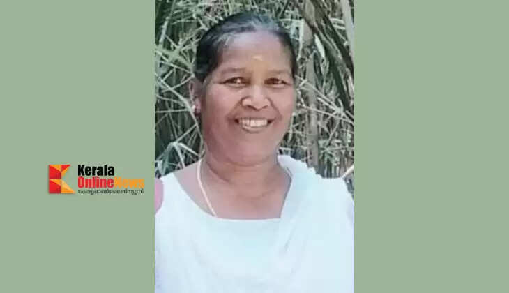 Housewife dies after being hit by car in Kannur's Puranjani
