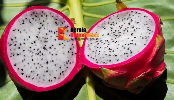 dragonfruit