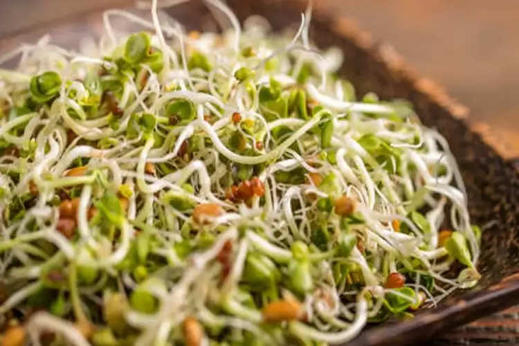 A healthy salad with sprouted beans