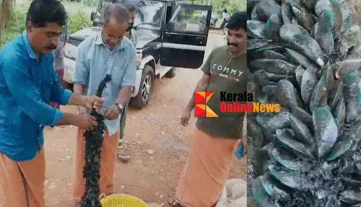 Kallummakaya's 'Mangalassery Peruma'; A group of youth with a success story