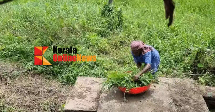 Devuchechi with her memories of Njattuvela in the field of memories