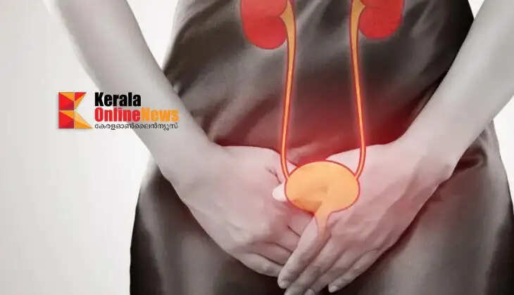 urinary tract health