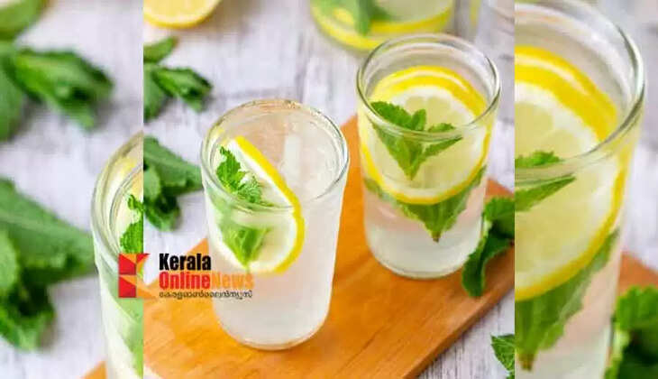 mint lemon juice