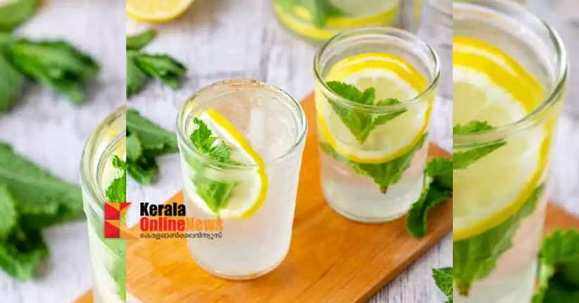 mint lemon juice