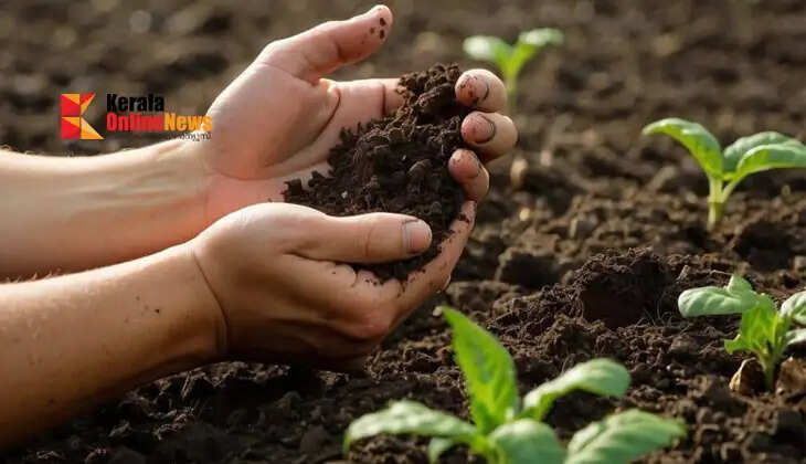 Vegetable farming using organic manure: Preserving soil health.