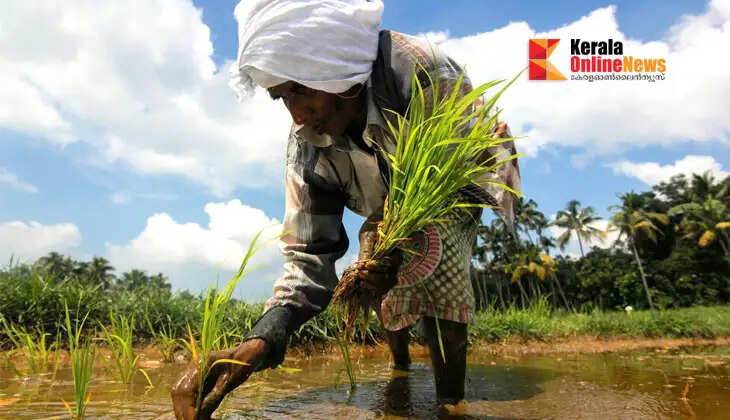 agriculture