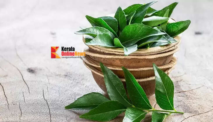 curry leaves