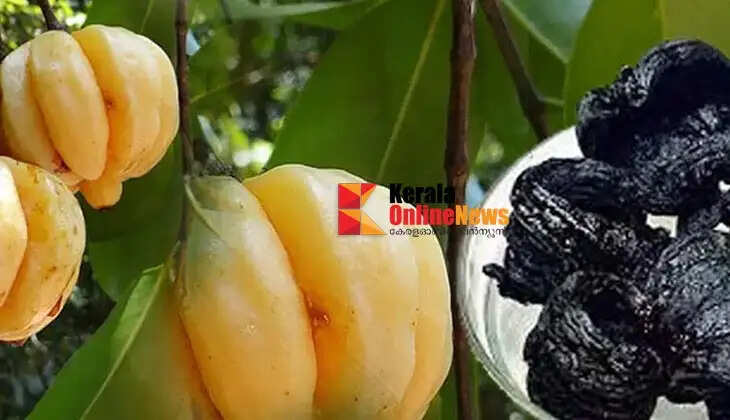 Kudampuli