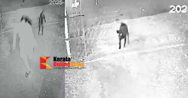 Stray dogs attacking school children in Kanayi, Kannur, video emerges
