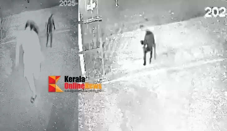 Stray dogs attacking school children in Kanayi, Kannur, video emerges