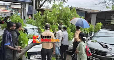 A tree branch broke and fell on the premises of Wayanad Government Medical College Hospital.