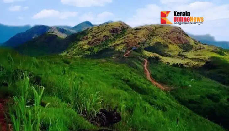 Ilaveezhapoonchira: A journey through the highlands amidst the wind and mist.