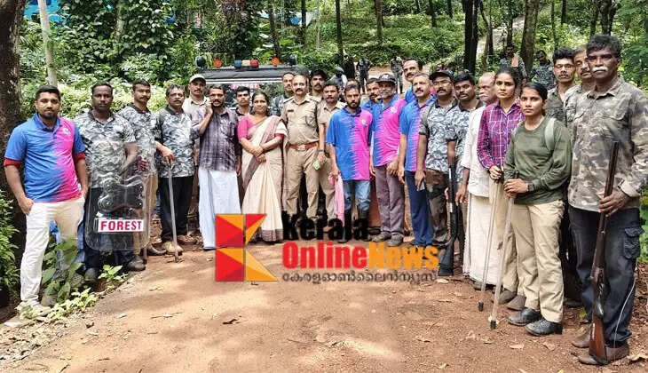 Kannur is in a state of panic due to the tiger..! The tiger could not be found after conducting an inspection.