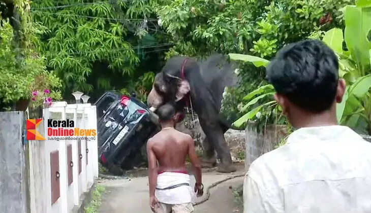 'Shiva Lakshmi Ayyappa' who created panic in residential areas in Thrissur, repelled