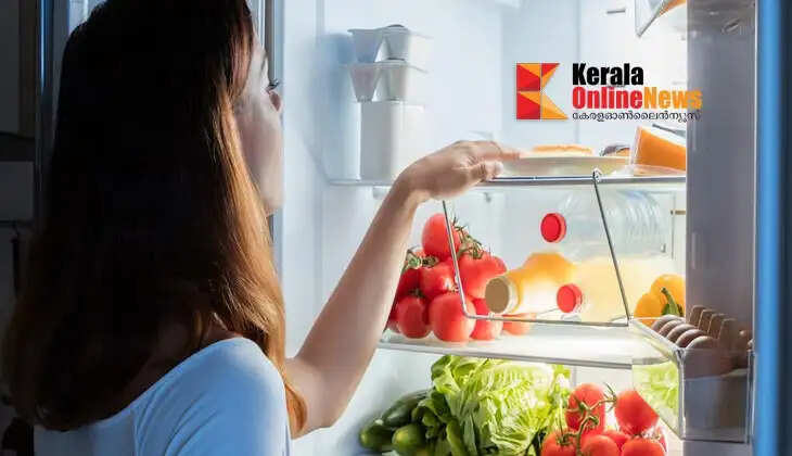 fridge fresh