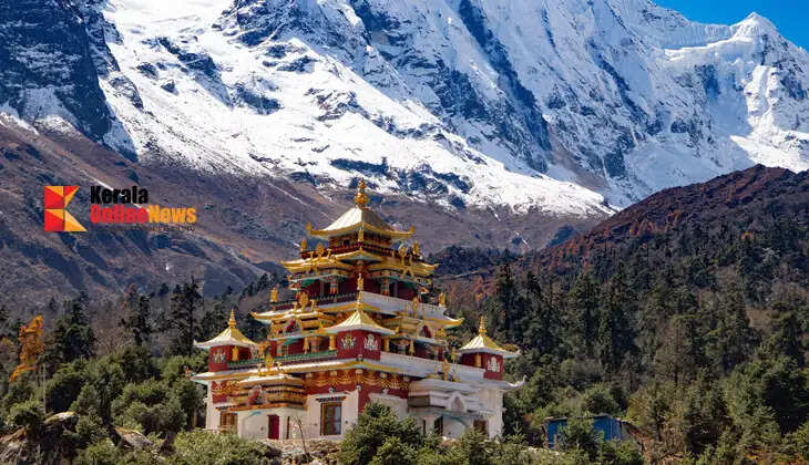 Fuel crisis; Nepal government declares two-day public holiday