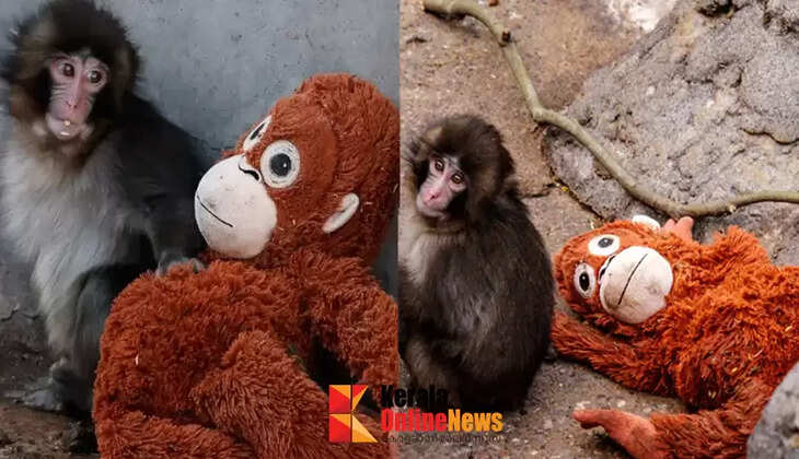 Huge demand for Punch's puppet; all stocks sold out