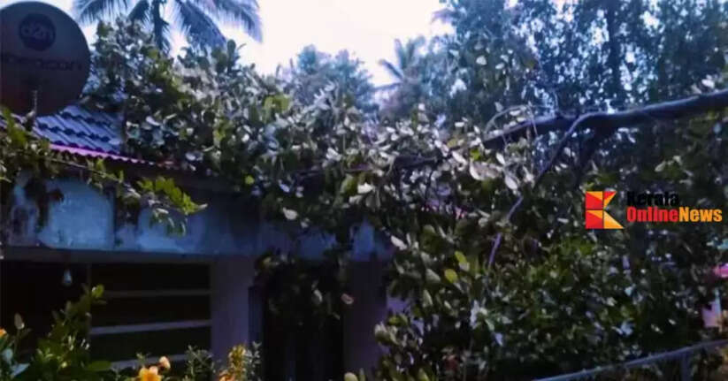 Heavy rain and wind cause extensive damage in Thiruvalla